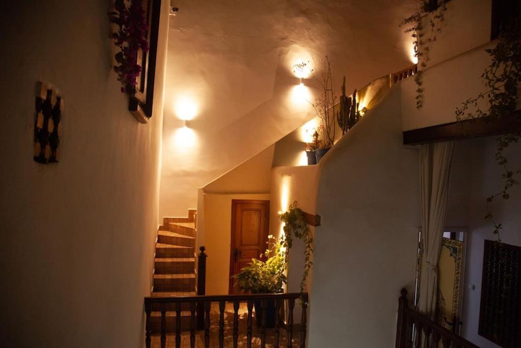 拉巴特Dar Mounia住宿加早餐旅馆 外观 照片